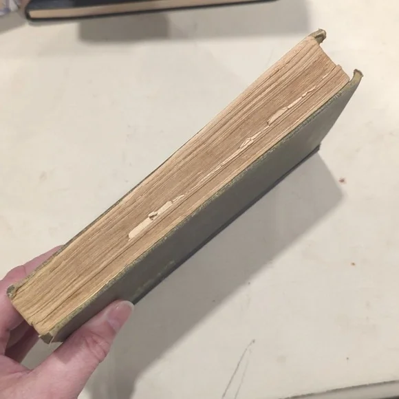 1910 "The Second Chance" By Nellie McClung - Picture 11 of 12